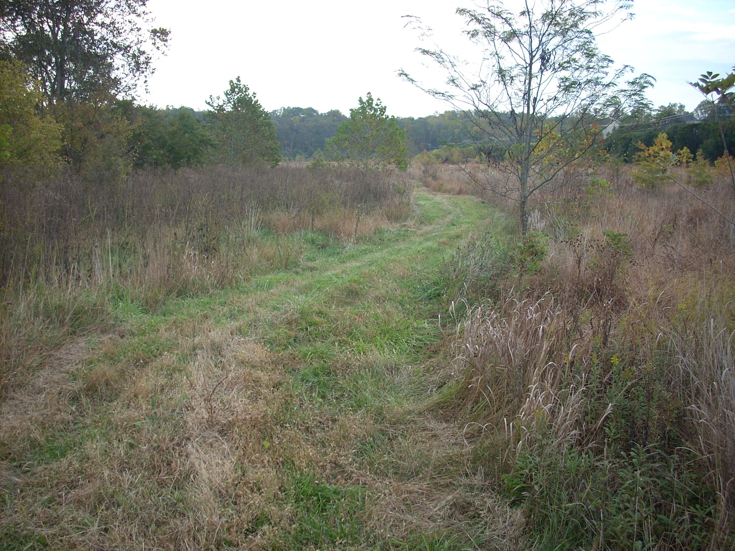 White's Mill Trail Section