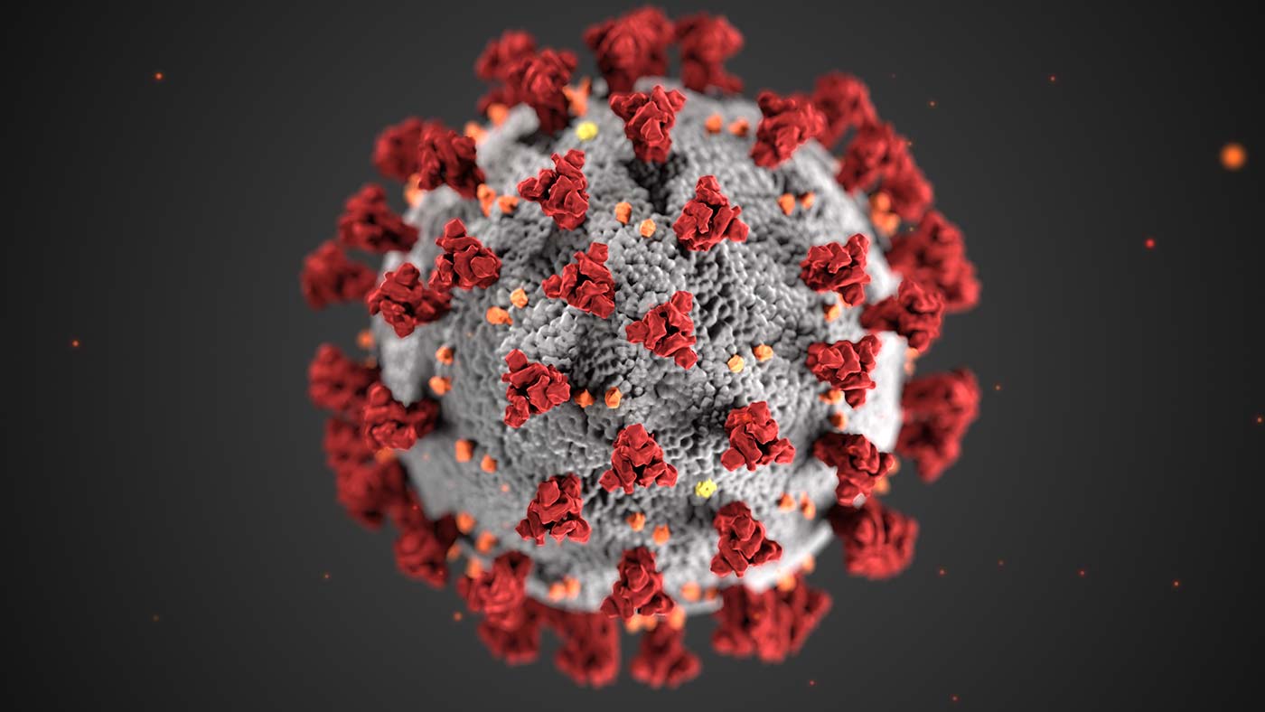 A digital illustration of what the coronavirus looks like at a microscopic level.